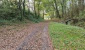 Tocht Stappen Cazaubon - tour des Barbotan les Thermes  - Photo 4