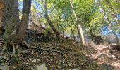 Tour Wandern Brunate - Boucle Brunate - Monte Piatto  - Brunate - Photo 10