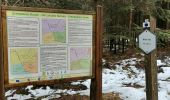 Trail Walking Trois-Ponts - wanne 280122 - Photo 3