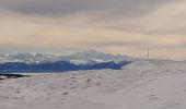 Tour Schneeschuhwandern Longevilles-Mont-d'Or - Le Mont d'or  Super Longevilles - Photo 1