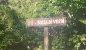 Tour Wandern Vivario - Vizzavona col Vernet - Photo 1