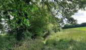 Trail Walking Dinant - FOY GPX BERLAGE - Photo 5