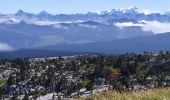 Tour Wandern Fillière - la tête du Parmeka  - Photo 2