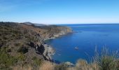 Tocht Stappen Banyuls-sur-Mer - banyuls . coll de gran bau . retour par le littoral  - Photo 11