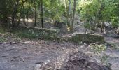 Trail On foot Sintra - Seteais - Photo 6