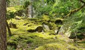 Randonnée Marche Fontainebleau - carrefour  de Vienne - Photo 11