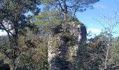 Trail Running Belgentier - les aiguilles de Valberg  - Photo 4