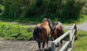 Tour Wandern Gerpinnes - Adeps Gerpinnes - Photo 2