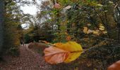 Randonnée Marche Manhay - la promenade du jack - Photo 9