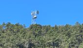 Tour Wandern Théoule-sur-Mer - Autour de Theoule - Photo 12