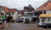 Tour Zu Fuß Bad Teinach-Zavelstein - Krokusweg - Photo 5