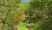 Tocht Stappen Gedinne -  Vallée De la Hulle Bourseigne la neuve - Photo 7