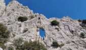 Randonnée Marche Gigondas - Les dentelles de Montmirail depuis Gigondas - Photo 4