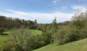 Randonnée Marche Modave - Linchet-Modave-Linchet - Photo 3