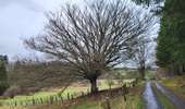Trail Walking Bertogne - Longchamps 160126 - Photo 9