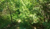 Trail Walking La Roche-des-Arnauds - SityTrail - Circuit de la combe du Duc - Photo 9