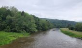 Tocht Stappen Vresse-sur-Semois - rando vresse sur semois 2-06-2024 - Photo 1