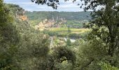 Tour Wandern Vézac - Château de Marqueyssac - Photo 4