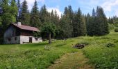 Randonnée Marche Arâches-la-Frasse - boucle les Carroz, la forêt d'Araches, Cretoral, retour par la pierre a Laya - Photo 15