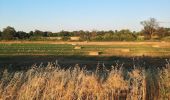 Percorso A piedi Lattes - Sentier des tamaris - Photo 1