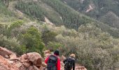 Tour Wandern Saint-Raphaël - Esterel : entre calanque, pics et ravins - Photo 7