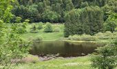 Excursión Senderismo La Bresse - Feignes-sous-Vologne / Lac de la Lande / Lac de Blanchemer - Photo 4