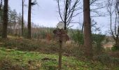 Trail Walking Nassogne - Masbourg 250124 - Photo 4