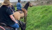 Trail Horseback riding Baccarat - Vendredi 8 mars 23 chez Alex Tivio  - Photo 1