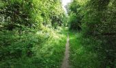 Trail Walking Gerpinnes - La balade du bois de Chamborgneau - Photo 2