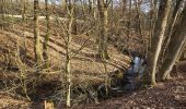 Tour Zu Fuß Neumarkt in der Oberpfalz - Steinbergrundweg - Photo 5