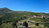 Trail On foot Soajo - Romeiros da Peneda – Rota de Soajo - Photo 1