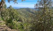 Tocht Mountainbike Les Arcs-sur-Argens - castel diol  mined terriers - Photo 1