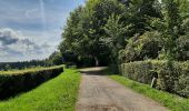 Tour Wandern Dinant - FOY GPX BERLAGE - Photo 15