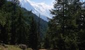 Trail Walking Chamonix-Mont-Blanc - Argentieres(aire de jeu) - Photo 1