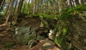 Tour Zu Fuß Klasterec - NS Zemská brána - Photo 8