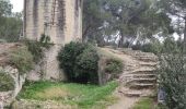 Trail Walking Barbentane - Barbentane - Saint Marthe - Photo 3