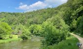 Trail Walking Chiny - Chiny le long de la Semois - Photo 8