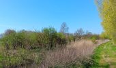 Trail Walking Tongeren - reser e de kevie - Photo 7