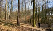 Tour Wandern Halle - Bois de Halle - Photo 7