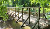 Tocht Stappen Durbuy - Bomal sur Ourthe 170625 - Photo 3