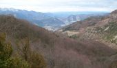 Tour Wandern Aurel - Le Plateau de Solaure par Aurel - Photo 4