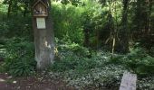 Trail Walking Maaseik - Bispadwandeling via De Zavel en Vossenstraat - Photo 4