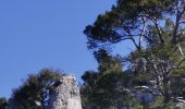 Randonnée Marche Signes - Tour du baou de Serein - Photo 1