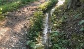 Trail Walking Ubaye-Serre-Ponçon - MONTCLAR , les Rollands  , canal de la Pisse , Pre Balou , fontaine du loup , fontaine de l mane o l m s - Photo 4