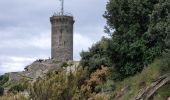 Tocht Stappen Collioure - Tour Madeloc-Boucle_col-de-Serra_T - Photo 4