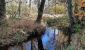 Tour Zu Fuß Jersbek - Durch Brook, Wald und Auen - Photo 5