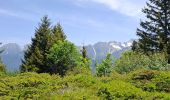 Tour Wandern Crêts-en-Belledonne - LE GRAND ROCHER PAR LE REFUGE DU CRET DU POULET - Photo 9
