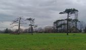 Randonnée Marche Sprimont - fond des trois bois- Banneux Goffo taire via bois de Fraipont retour via bois de Tancremont  - Photo 17