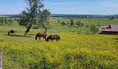 Trail Walking Jussey - marche don du sang Jussey 15 5 2022 - Photo 6