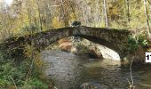 Excursión Piragüismo Lavelanet - Tracé du Touyre à Lavelanet 4,2km (non réalisé sur l'eau) - Photo 2